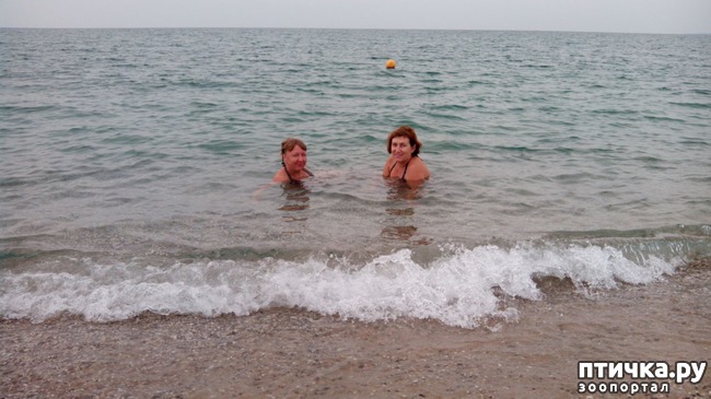 ���� 11: �, ����, ����!