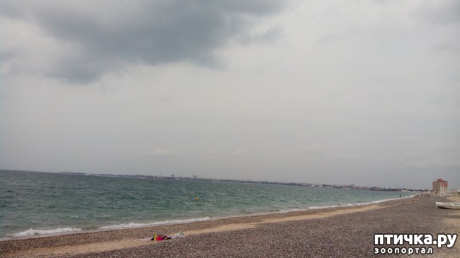 ���� 12: �, ����, ����!