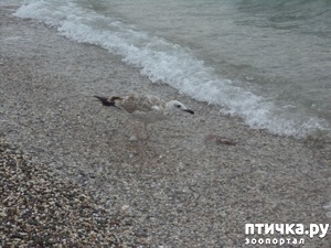 ����: ����� �� �����