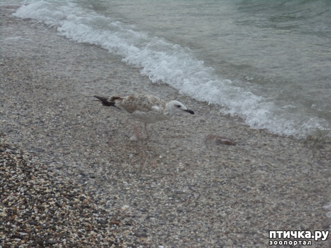 ���� 1: ����� �� �����