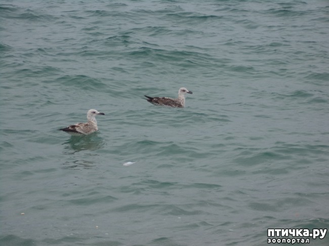 ���� 2: ����� �� �����