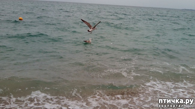 ���� 3: ����� �� �����