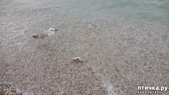 ���� 4: ����� �� �����