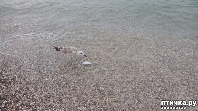 ���� 5: ����� �� �����