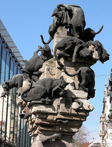 ���� 7: � ������ � ������ �������