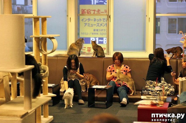 ���� 3: � ������ � ������ �������