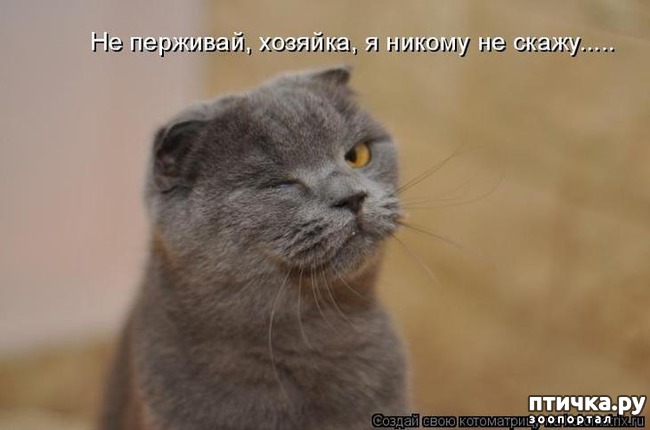  6:    )))