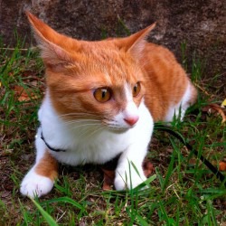 ���� 5: � ������ � ������ �������