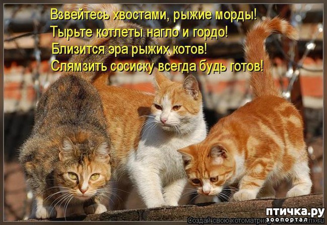  11:    )))