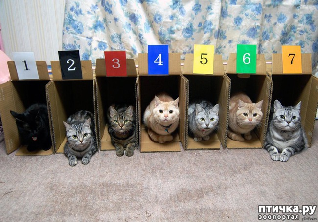 ���� 8: � ������ � ������ �������