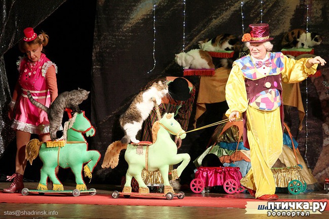 ���� 9: � ������ � ������ �������