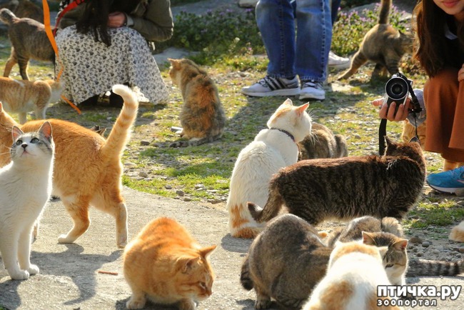 ���� 10: � ������ � ������ �������