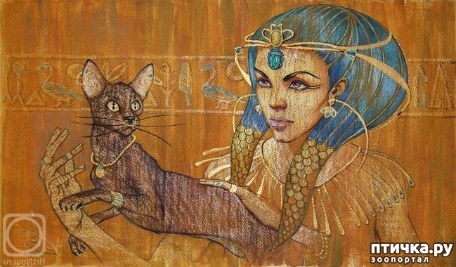 ���� 11: � ������ � ������ �������