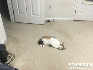 ����: ����� � ����������