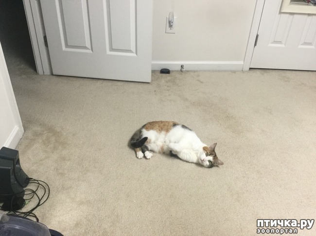 ���� 1: ����� � ����������