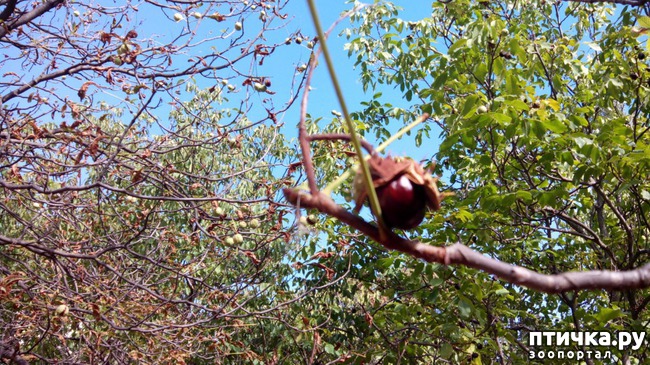 ���� 10: ����� ��������