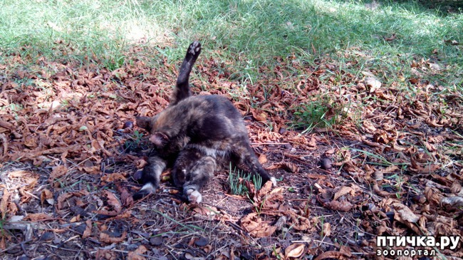 ���� 11: ����� ��������