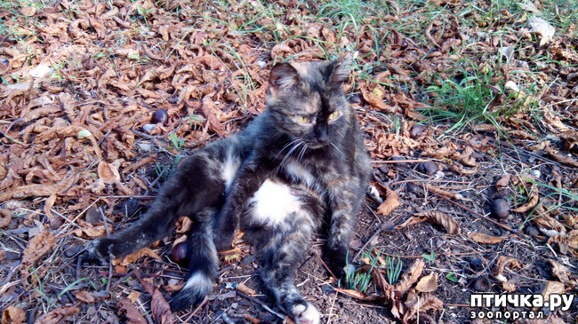 ���� 12: ����� ��������