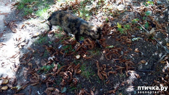 ���� 13: ����� ��������