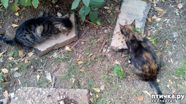 ���� 2: ����� ��������