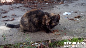 ����: ����� ��������