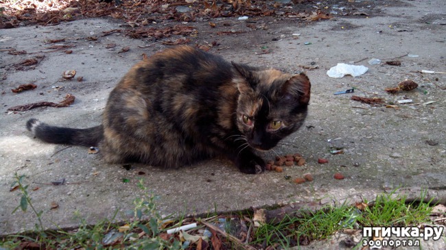 ���� 1: ����� ��������