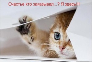 ����: �����������: ��� ����������, ����� ��� ����!