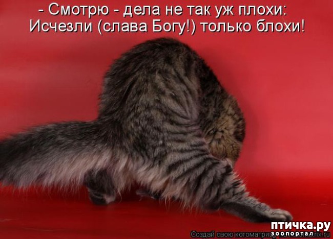 ���� 3: �����������: ��� ����������, ����� ��� ����!