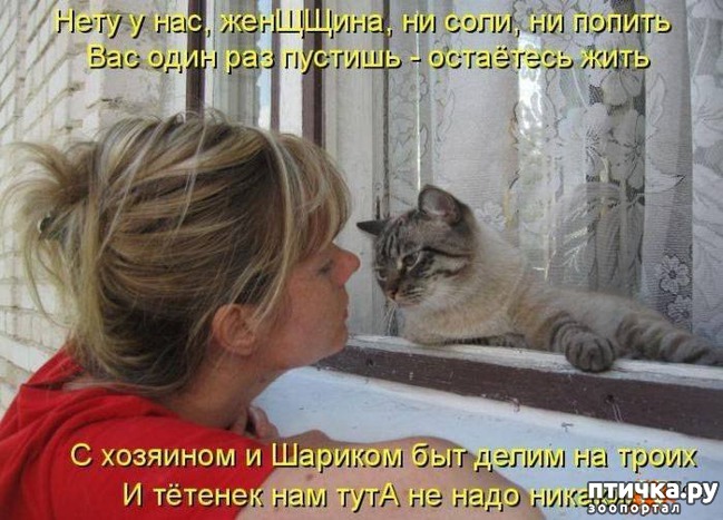 ���� 4: �����������: ��� ����������, ����� ��� ����!