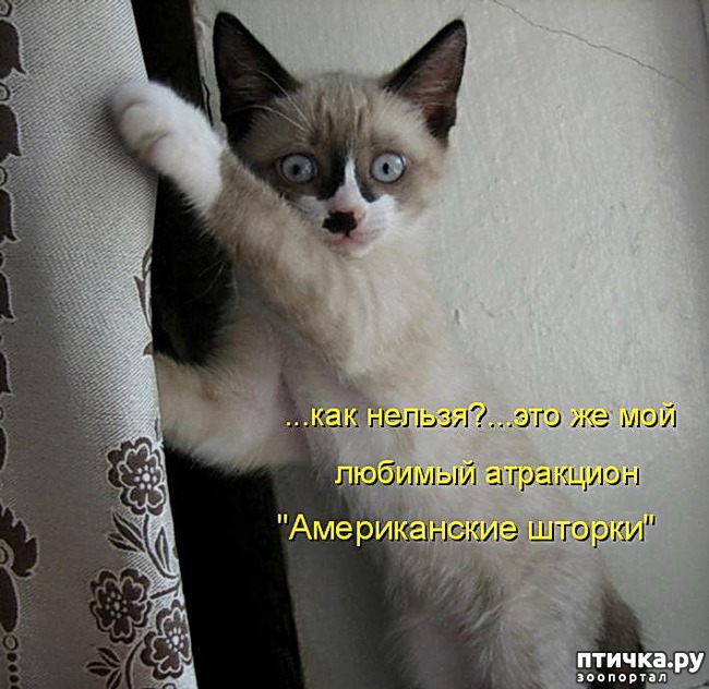 ���� 5: �����������: ��� ����������, ����� ��� ����!