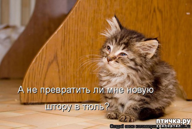 ���� 7: �����������: ��� ����������, ����� ��� ����!