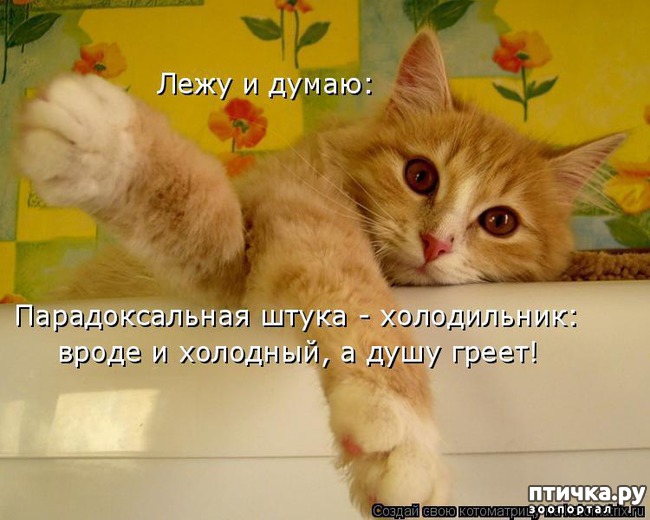 ���� 8: �����������: ��� ����������, ����� ��� ����!