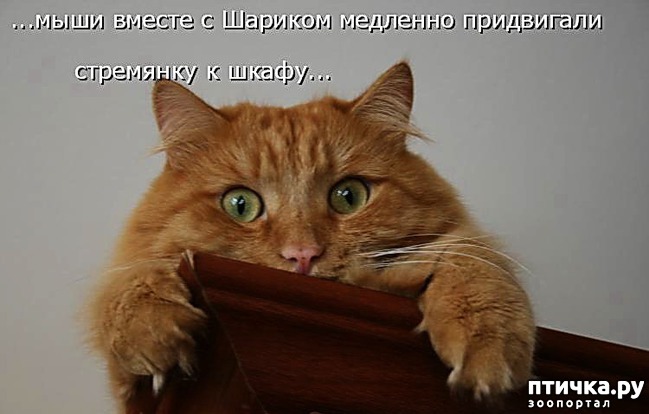 ���� 10: �����������: ��� ����������, ����� ��� ����!