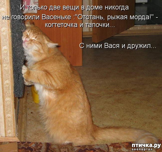 Открытки закачать, картинки я тебя жалею