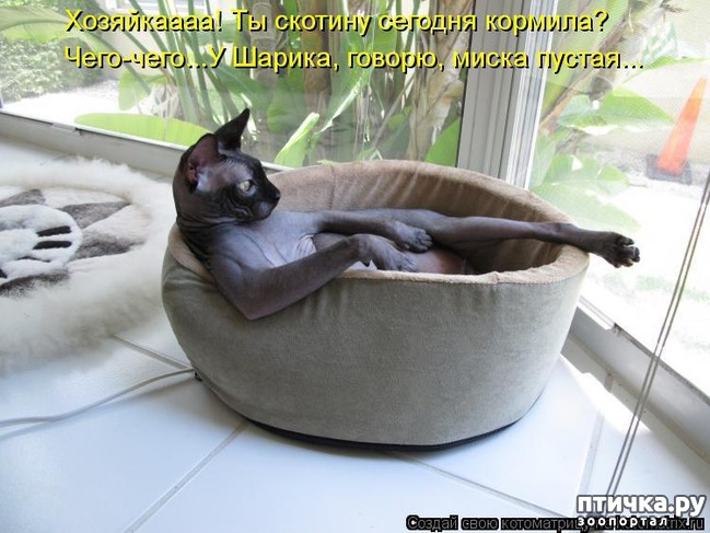 ���� 14: �����������: ��� ����������, ����� ��� ����!