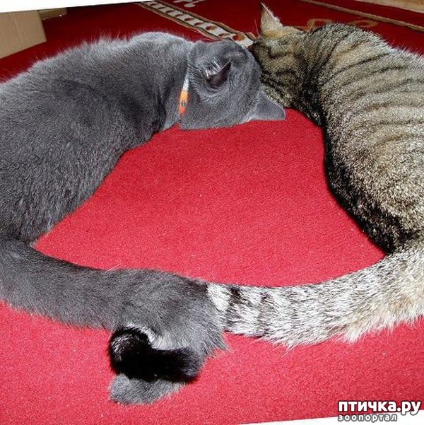 ���� 16: �����������: ��� ����������, ����� ��� ����!