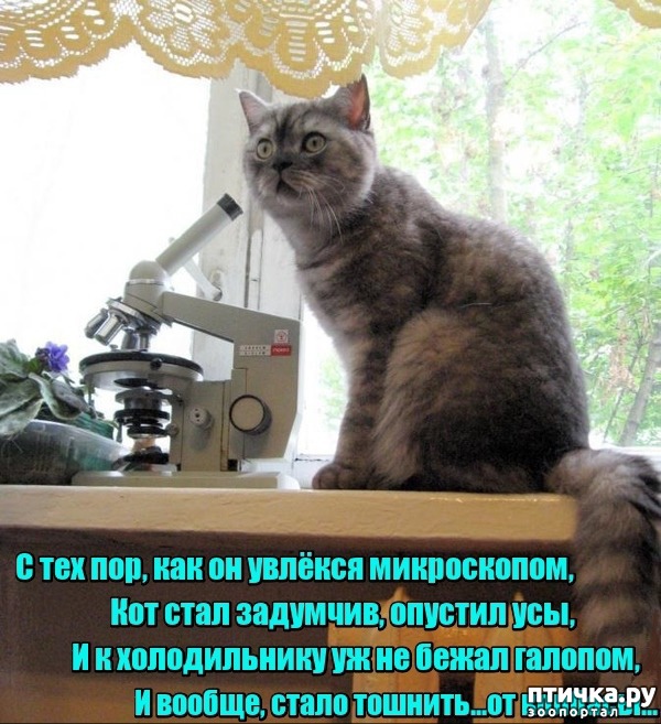 ���� 17: �����������: ��� ����������, ����� ��� ����!