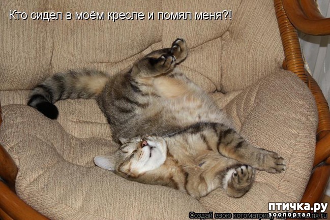 ���� 18: �����������: ��� ����������, ����� ��� ����!