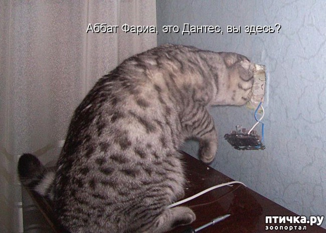 ���� 19: �����������: ��� ����������, ����� ��� ����!