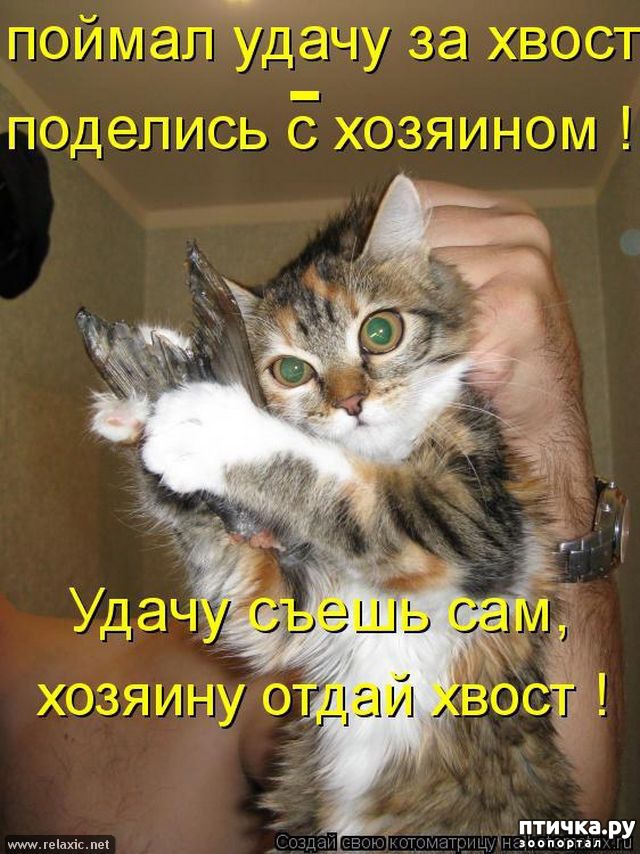 ���� 20: �����������: ��� ����������, ����� ��� ����!