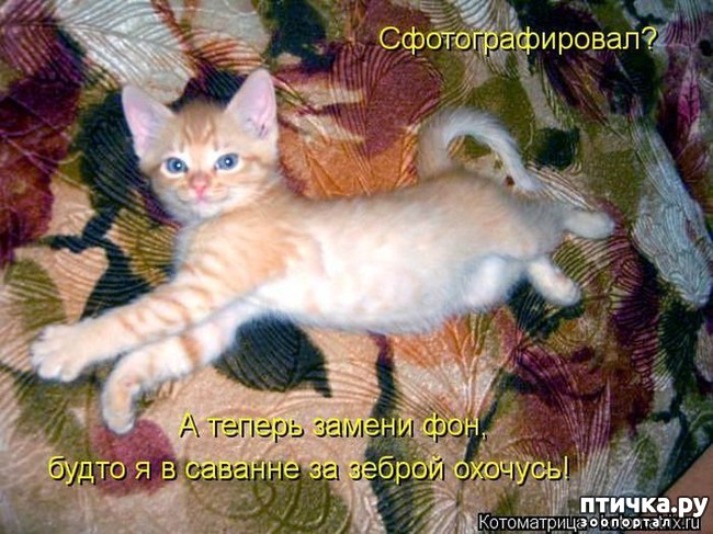 ���� 21: �����������: ��� ����������, ����� ��� ����!