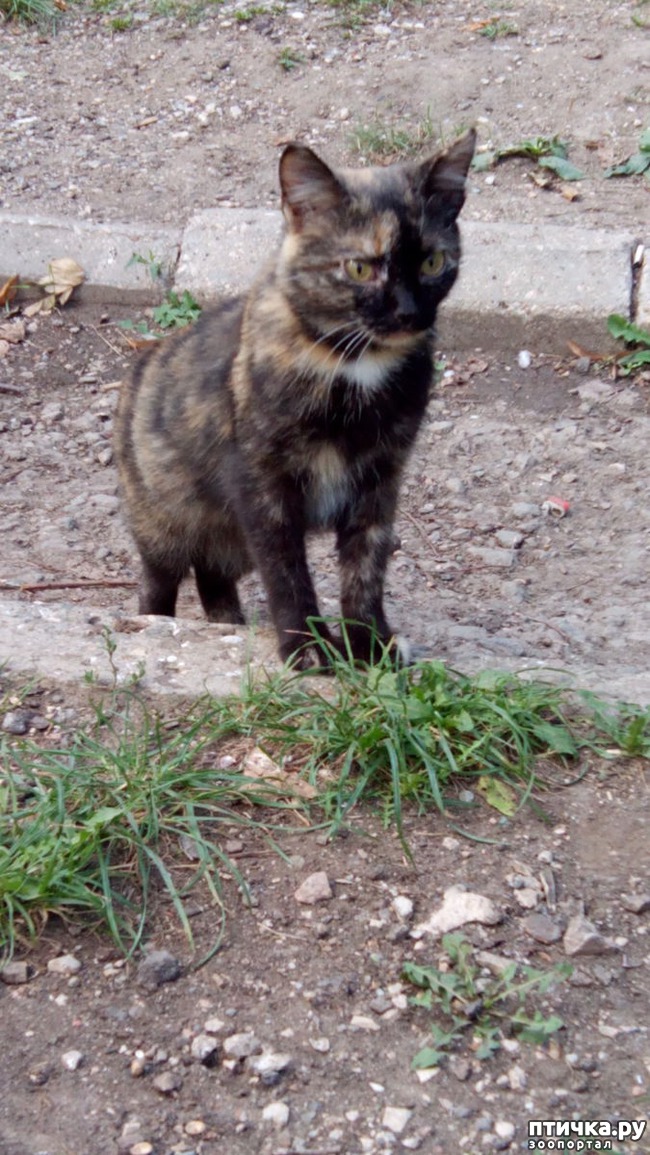 ���� 3: ����� ��������