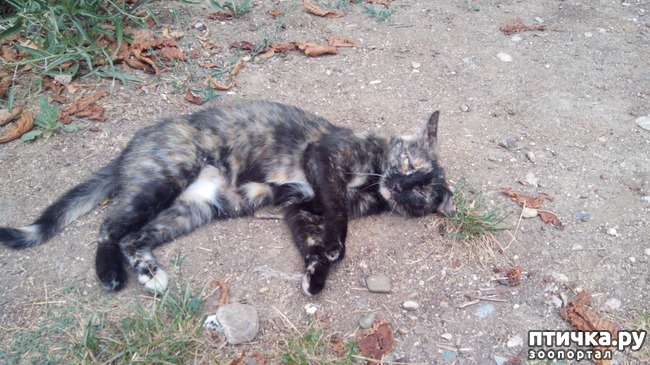 ���� 4: ����� ��������