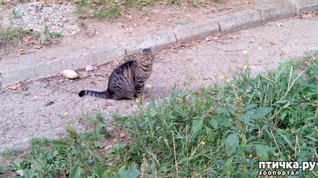 ���� 5: ����� ��������