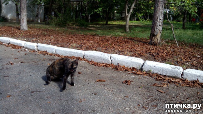 ���� 6: ����� ��������