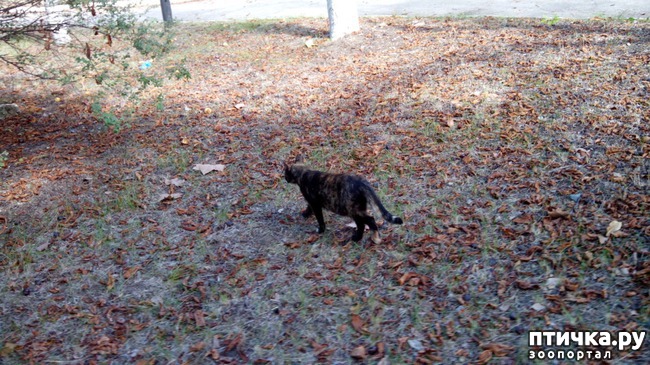 ���� 7: ����� ��������