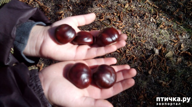 ���� 8: ����� ��������