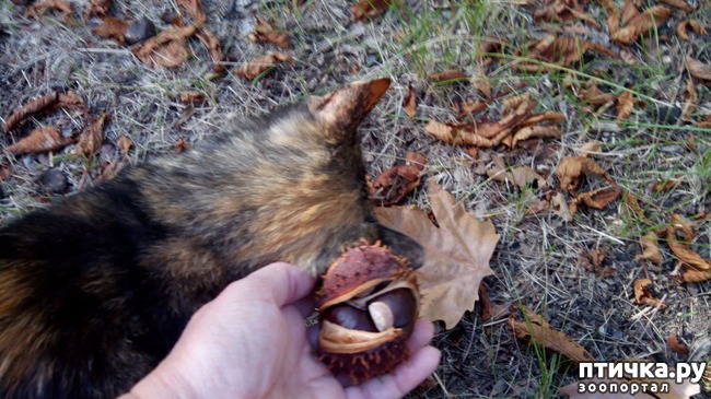 ���� 9: ����� ��������