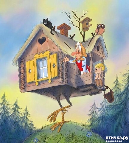 ���� 1: ������ �� ����