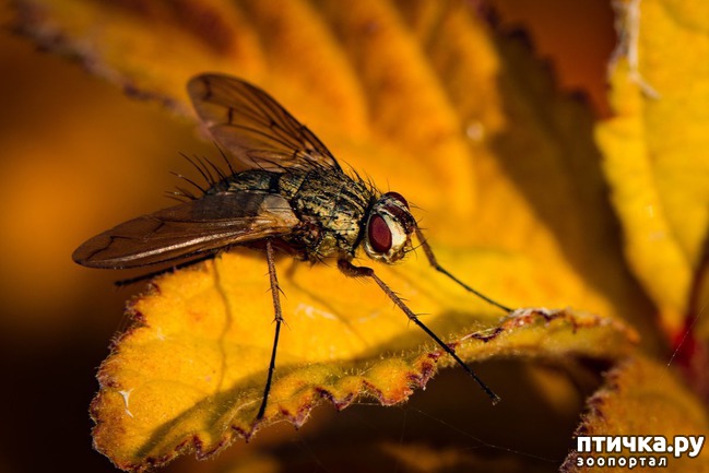 ���� 1: ������� ���� ������������!